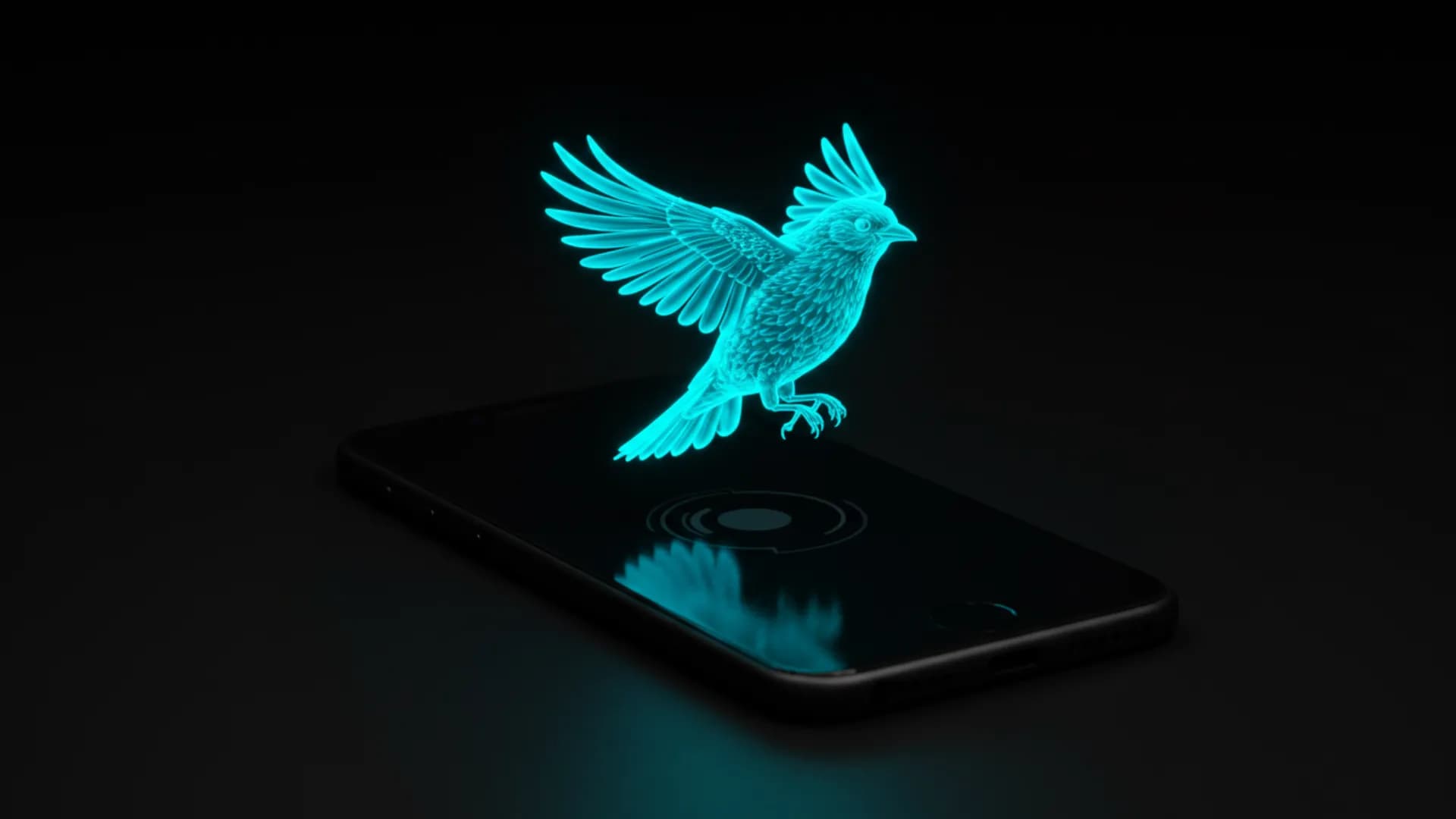 Augmented Reality Software Development